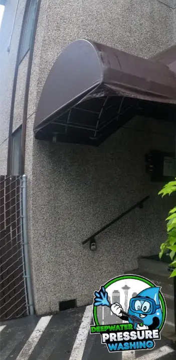 Commercial building entry wall after algae soft washing in Seattle, WA