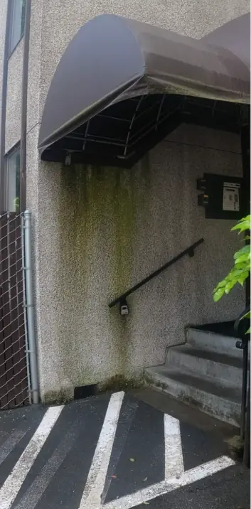 Commercial building entry wall stained with algae before soft washing in Seattle, WA
