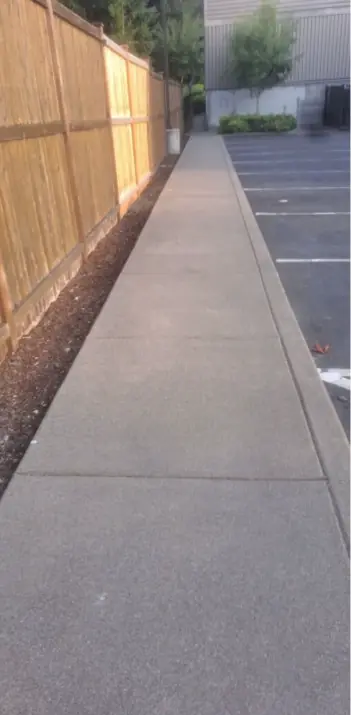 Clean commercial walkway after moss removal pressure washing in Seattle, WA