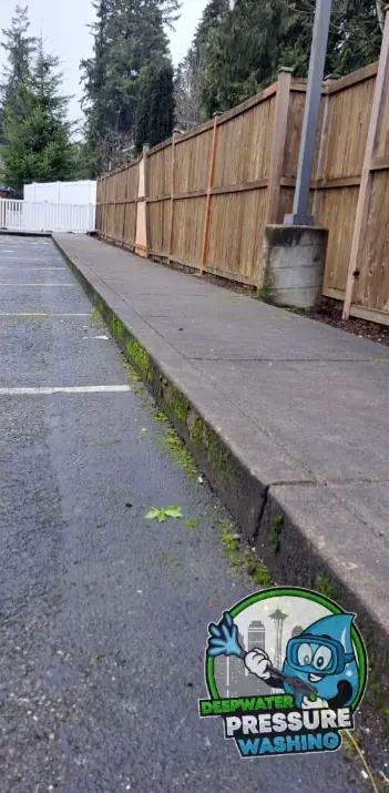 Commercial walkway covered in moss before pressure washing in Seattle, WA