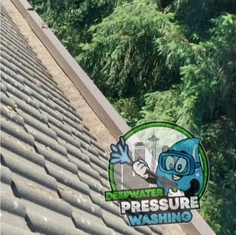 Commercial tile roof after moss removal in Seattle, WA