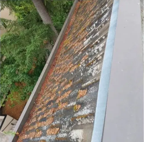 Commercial tile roof with heavy moss before cleaning in Seattle, WA