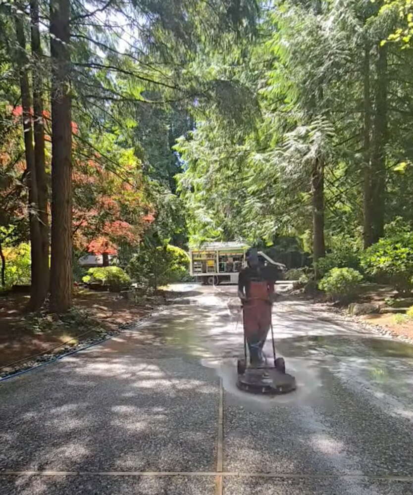 Technician cleaning a long driveway under tall Pacific Northwest trees
