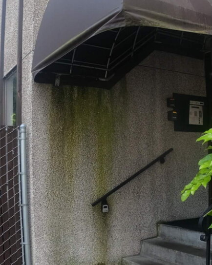 Building entry wall streaked with green mildew