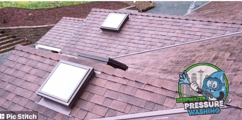 Same roof after moss removal