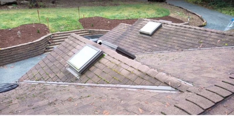 Mossy shingle roof before cleaning