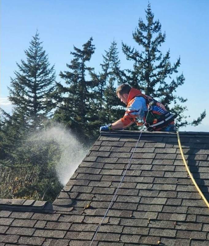 Deep Water technician removing moss from a Ballard roof