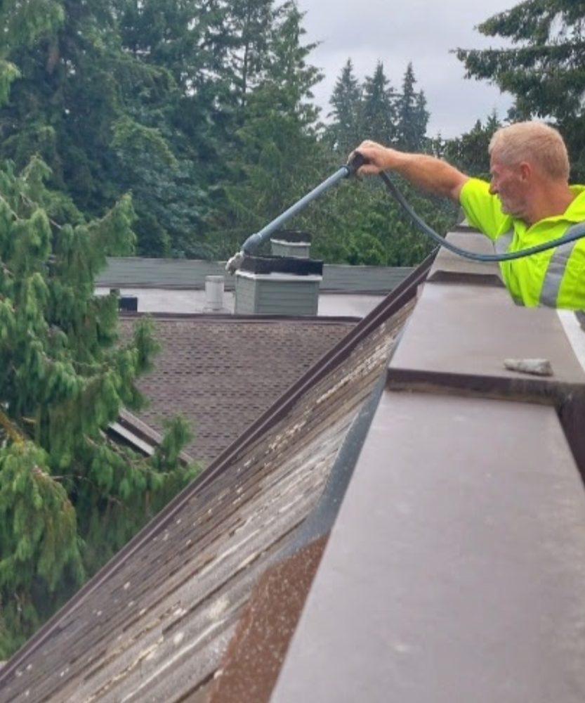 Technician soft washing a roof edge surrounded by evergreens