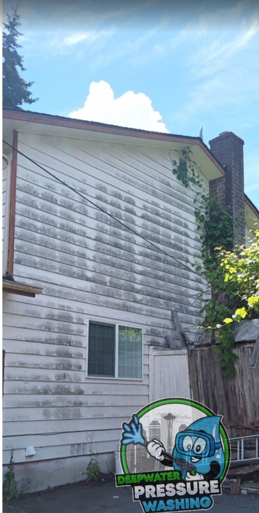 Siding streaked with algae before washing