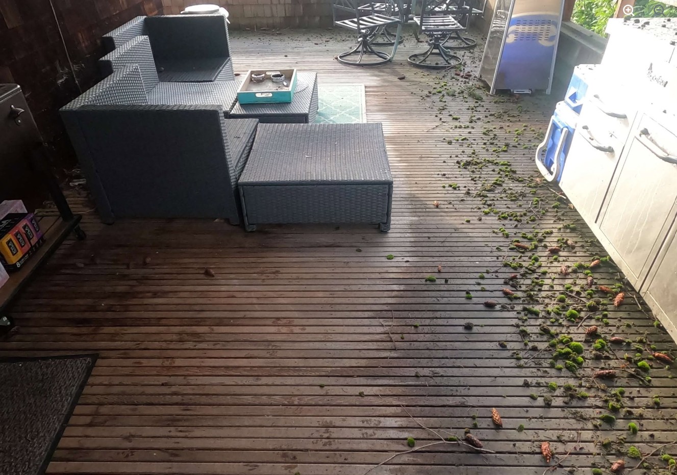 Seattle wood deck dirty and covered in debris before cleaning
